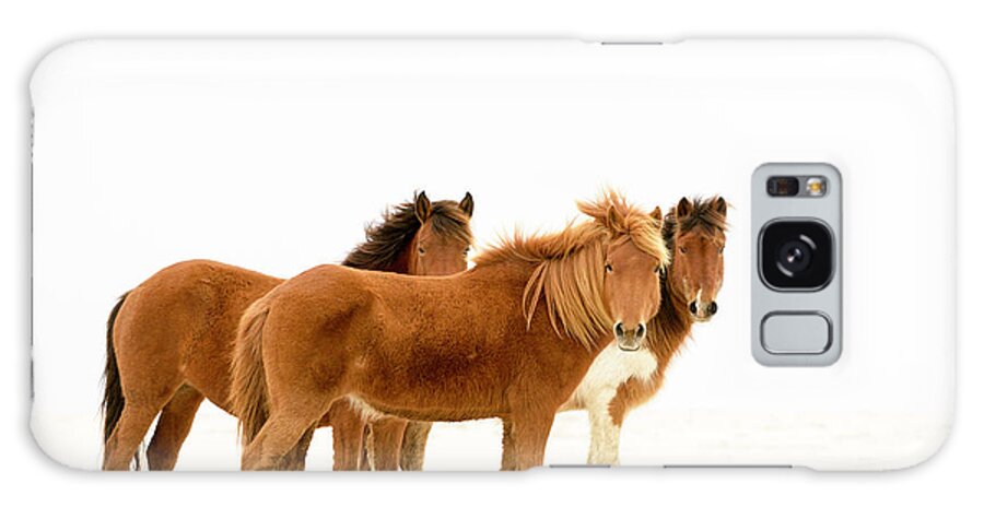 Wild Horse Galaxy Case featuring the photograph State Line Mares by Jen Britton