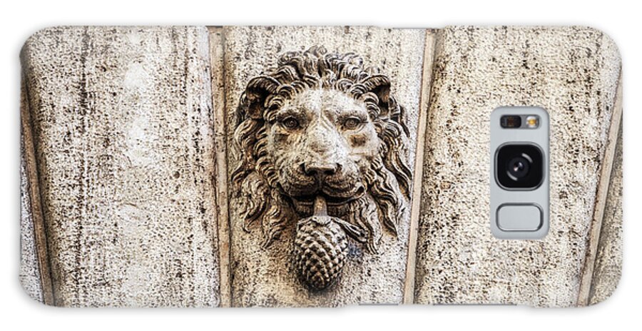 Rome Galaxy Case featuring the photograph Stone lion head in Rome, Italy by Fabiano Di Paolo