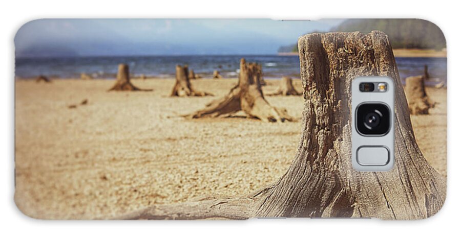 Mountain Galaxy Case featuring the photograph Stump Town by Go and Flow Photos
