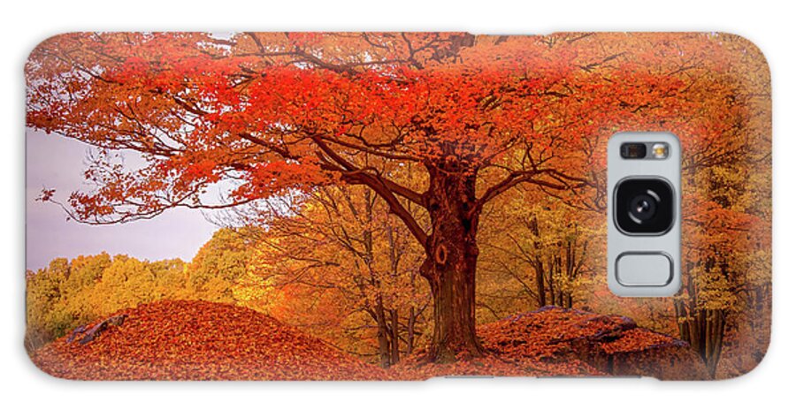 Peabody Massachusetts Galaxy Case featuring the photograph Sturdy Maple in Autumn Orange by Jeff Folger