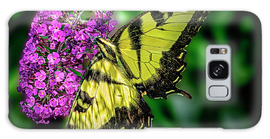 Bug Galaxy Case featuring the photograph Summer Tiger Swallowtail by Nick Zelinsky Jr