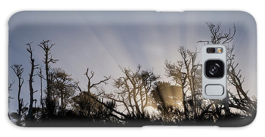 Atmosphere Galaxy Case featuring the photograph Sun and Mist Silhouettes by Robert Potts