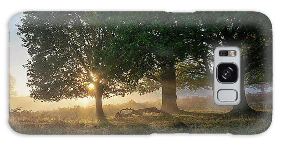 Sunrise Galaxy Case featuring the photograph Sun breaking through the trees by Gareth Parkes