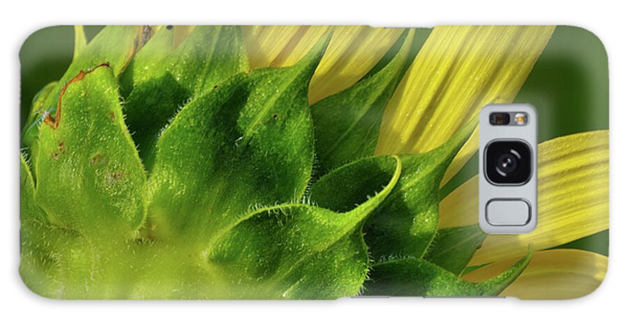 Sunflower Galaxy Case featuring the photograph Sunflower 2 by Buddy Scott