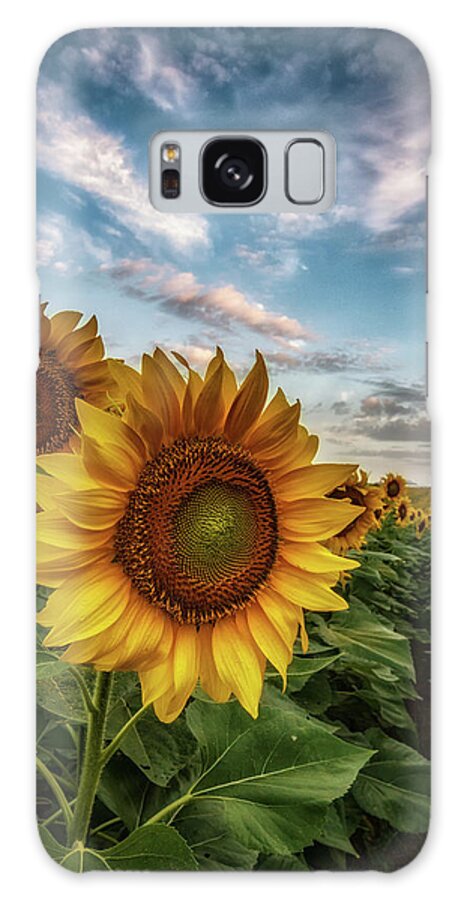 Sunflower Galaxy Case featuring the photograph Sunflower Awakening by Tricia Louque