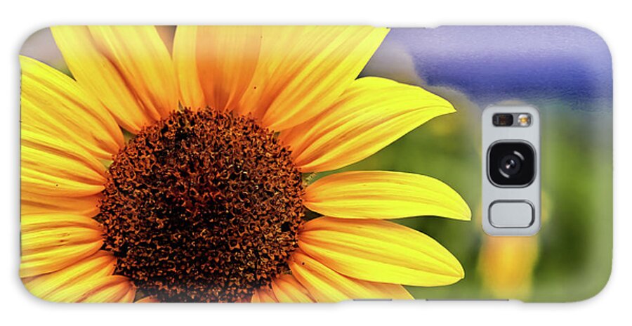 Sunflower Galaxy Case featuring the photograph Sunflower by Bob Falcone
