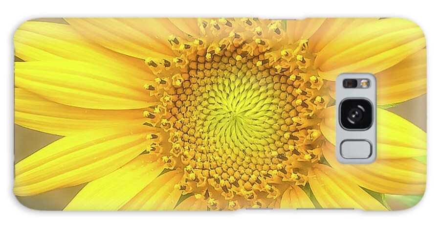 Sunflower Galaxy Case featuring the photograph Sunflower Closeup by John Kirkland