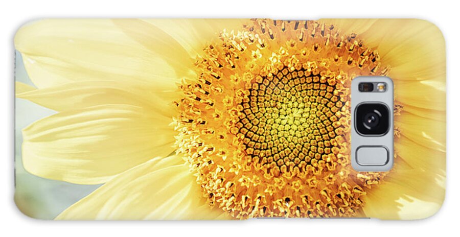 Sunflower Galaxy Case featuring the photograph Sunflower in Pastel by Ada Weyland
