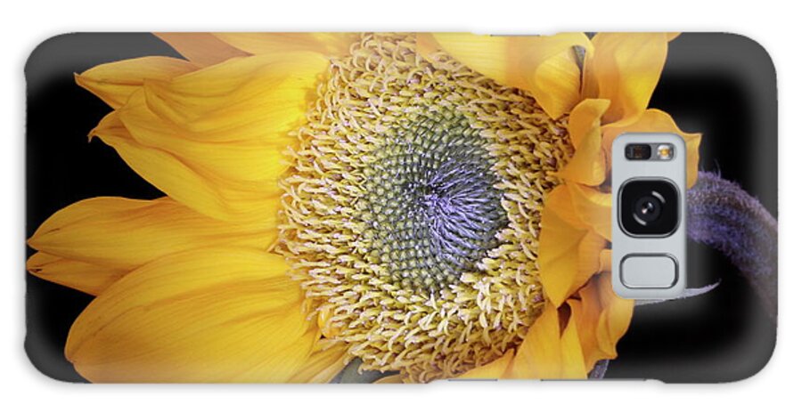 Botanical Galaxy Case featuring the photograph Sunflower Square by Julie Powell
