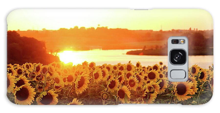 Summer Galaxy Case featuring the photograph Sunflowers At Sunset by Lens Art Photography By Larry Trager
