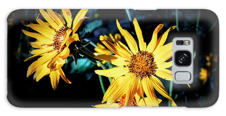Sunflower Galaxy Case featuring the photograph Sunflower by Thomas Nay
