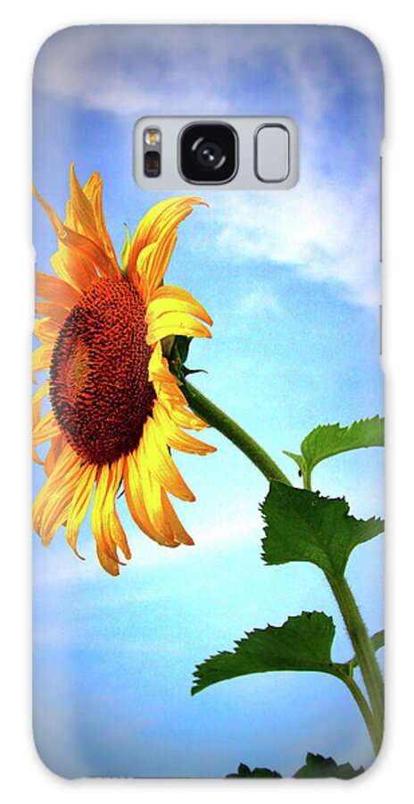 Sun Galaxy Case featuring the photograph Sunflower2136 by Carolyn Stagger Cokley