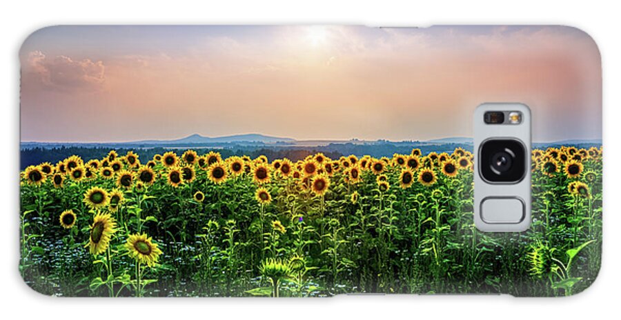 Sunflowers Galaxy Case featuring the photograph Sunflowers 34a3934 by Greg Hartford