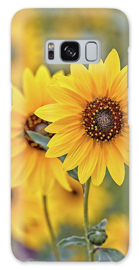Sunflowers Galaxy Case featuring the photograph Sunflowers by Bob Falcone