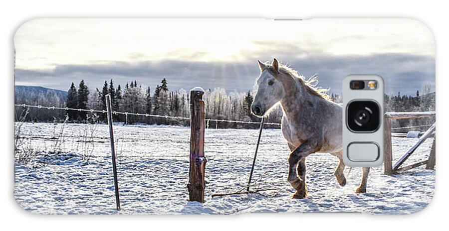 Winter Galaxy Case featuring the photograph Sunlit Passage by Listen To Your Horse