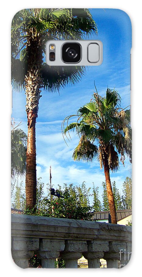  Galaxy Case featuring the photograph Sunny Florida by Shirley Moravec
