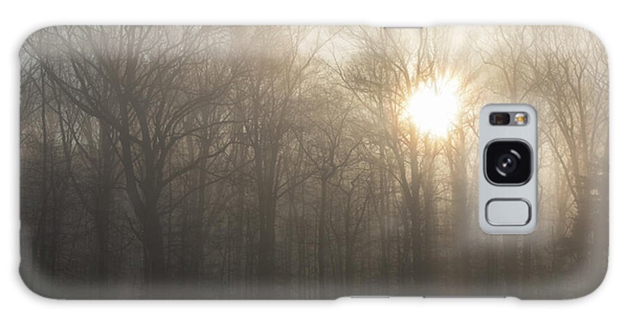Nature Galaxy Case featuring the photograph Sunrays Through The Trees in Delaware by Kristia Adams