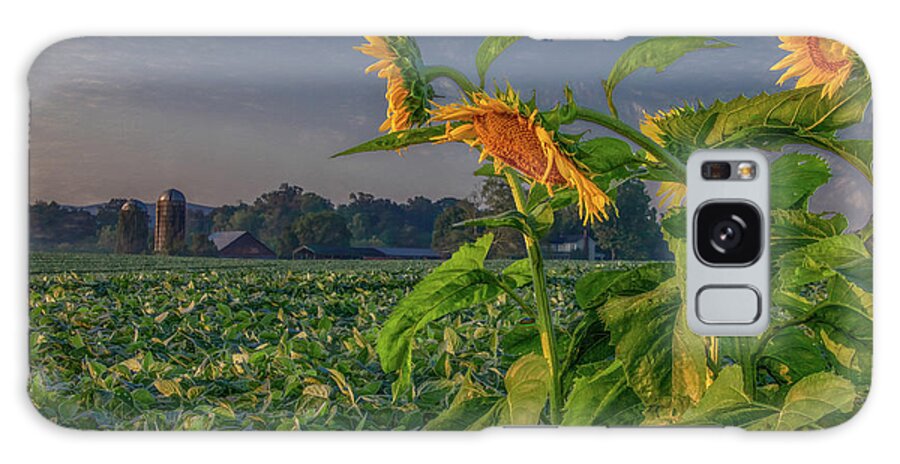 Tennessee Galaxy Case featuring the photograph Sunrise With Sunflowers by Marcy Wielfaert