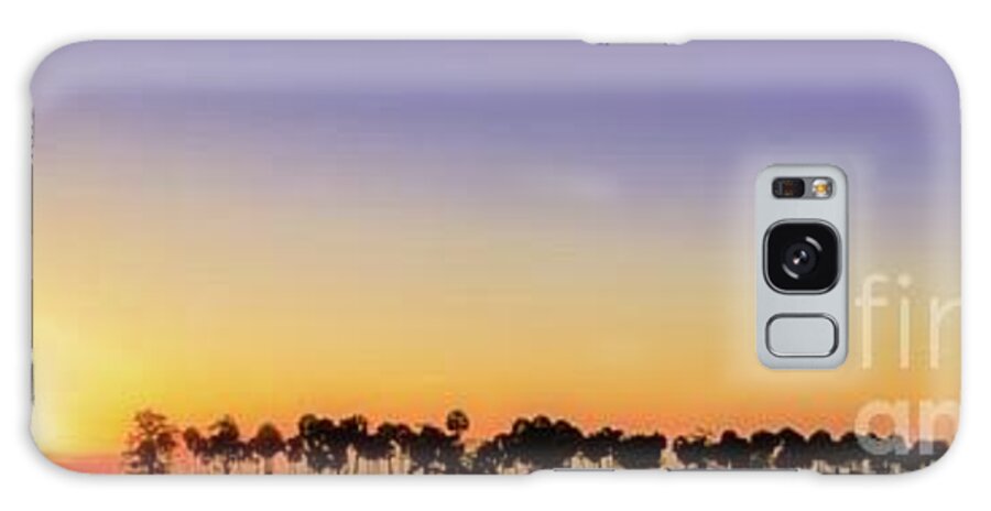 Cabbage Palms Galaxy Case featuring the photograph Sunset on the Farm by Patti Powers