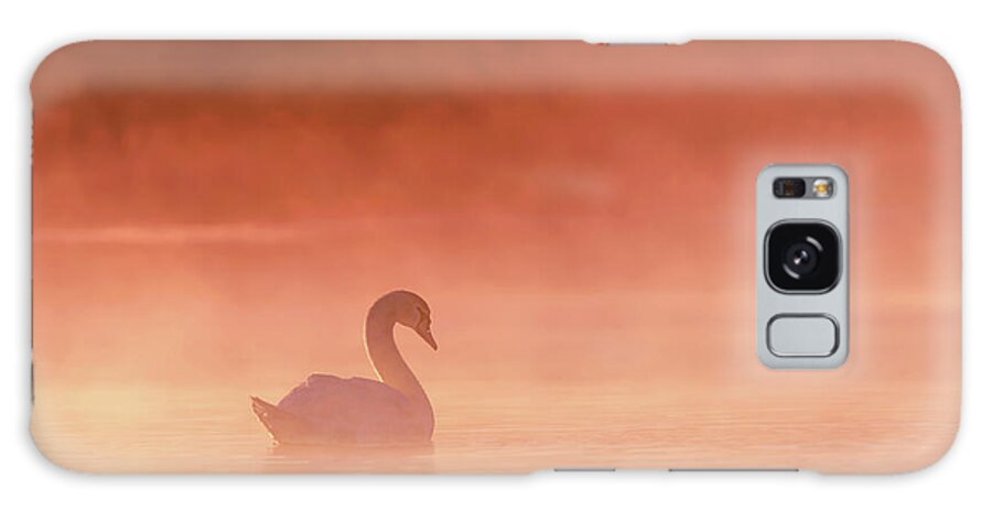 Swan Galaxy Case featuring the photograph Swan Lake - Swan at Sunrise by Roeselien Raimond