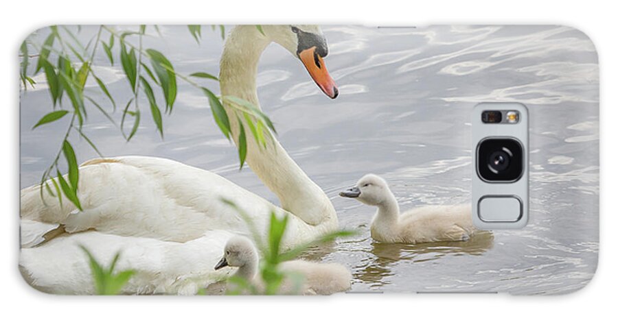 Cygets Galaxy Case featuring the photograph Swans on the pond by Joni Eskridge