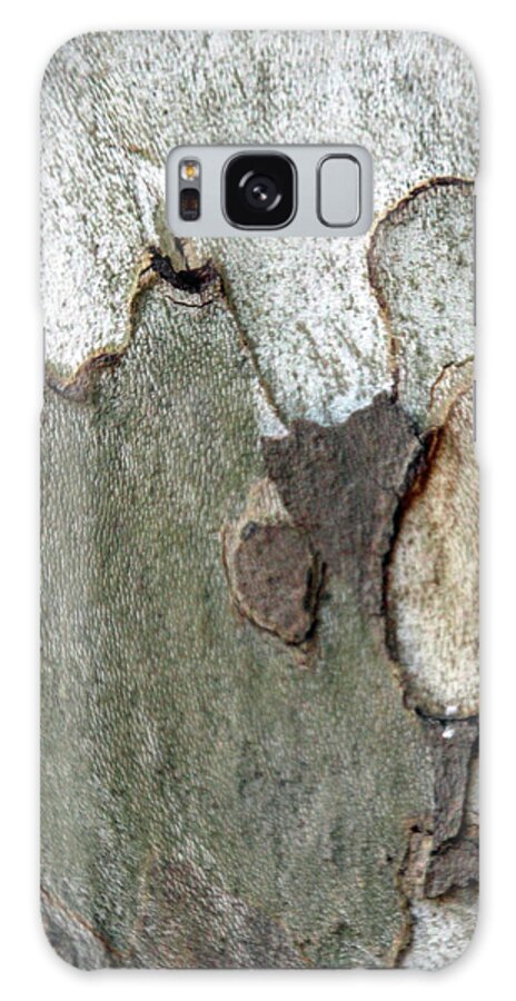 Tree Galaxy Case featuring the photograph Sycamore1806 by Carolyn Stagger Cokley