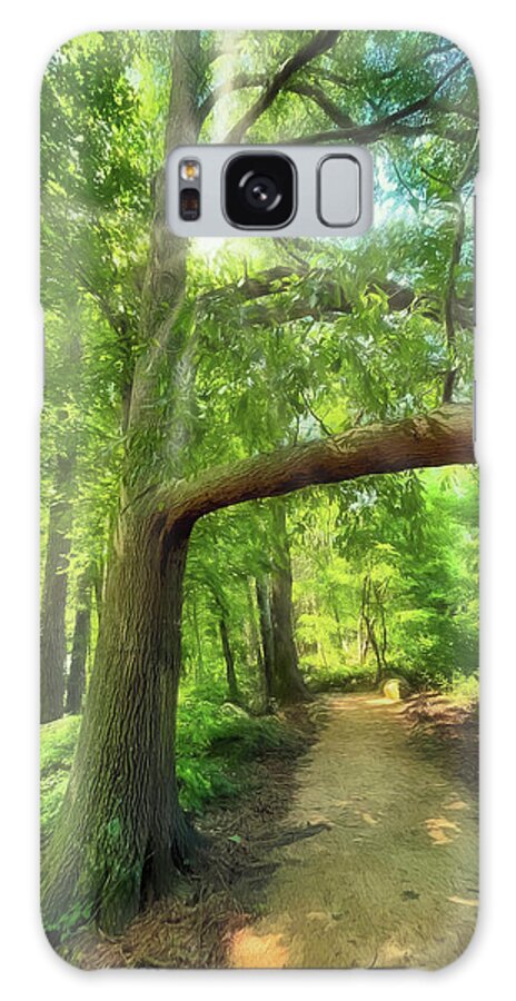 Narrow Path Galaxy Case featuring the photograph Take the Narrow Path by Michael Frank