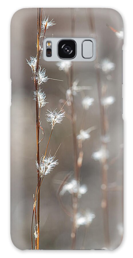 Tall Galaxy Case featuring the photograph Tall Grass With White Seeds by Phil And Karen Rispin