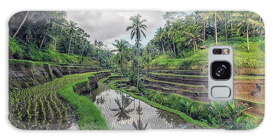 Agriculture Galaxy Case featuring the photograph Tegallalang Rice Terraces by Manjik Pictures