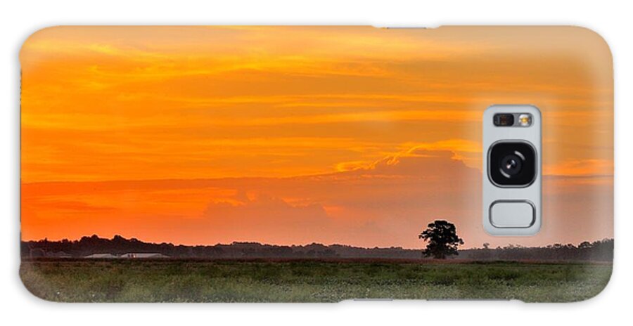 Sunrise Galaxy Case featuring the photograph Terra Ceia Tree by Eric Towell