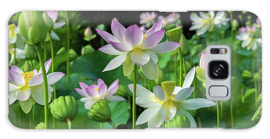 Lotus Galaxy Case featuring the photograph The Aquatic Garden by Cindy Lark Hartman