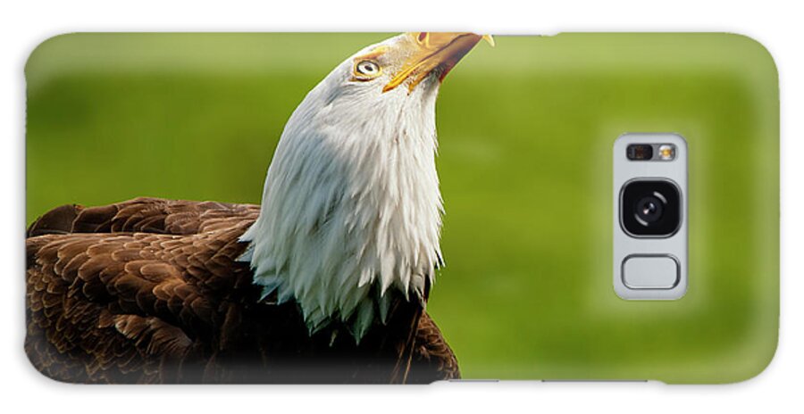 The Bald Eagle Galaxy Case featuring the photograph A Bald Eagle Looking Up at the Sky by Lieve Snellings