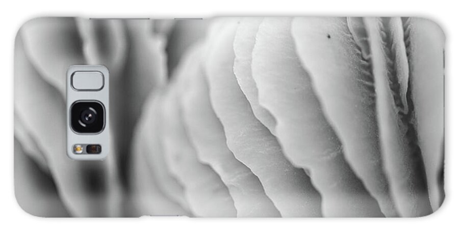 Mushroom Galaxy Case featuring the photograph The Beauty of Mushroom by Martin Vorel Minimalist Photography