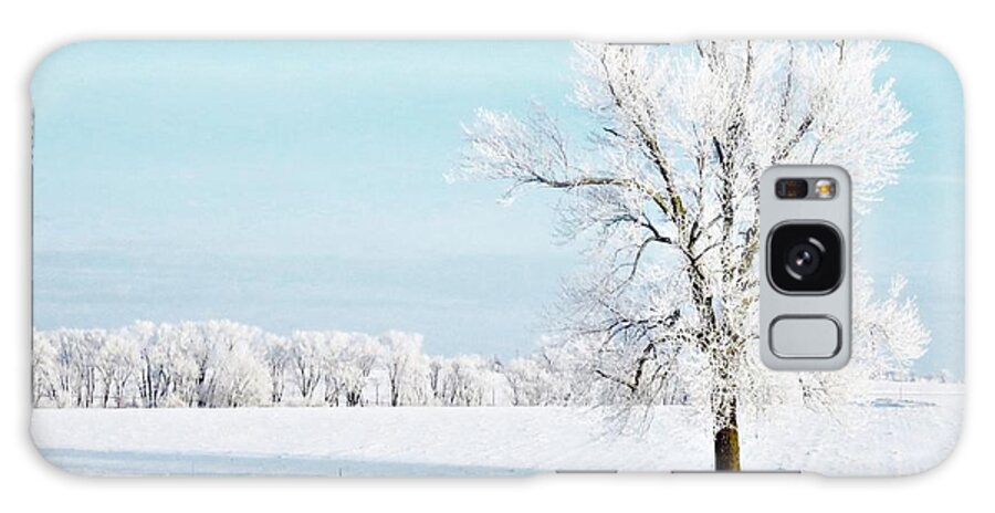Trees Galaxy Case featuring the photograph The Beauty of Winter by Lori Frisch