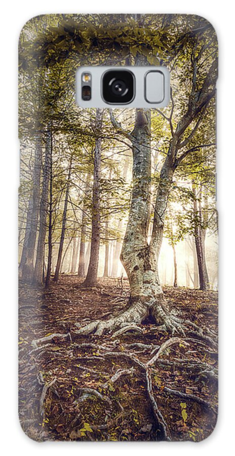 Birch Tree Galaxy Case featuring the photograph The Birch Tree by Tricia Louque