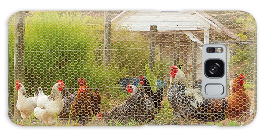 Chicken Galaxy Case featuring the photograph The Chicken Coop by Donna Twiford
