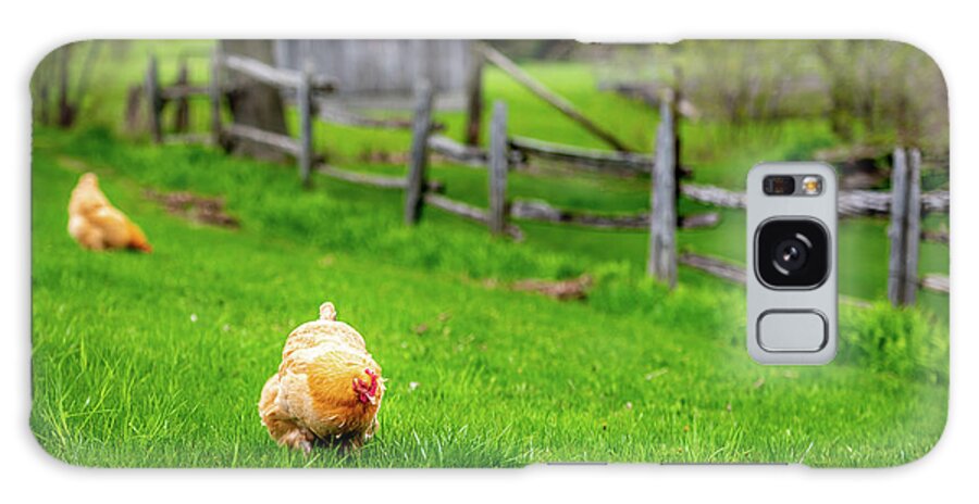 Chicken Galaxy Case featuring the photograph The County Chickens by Dee Potter