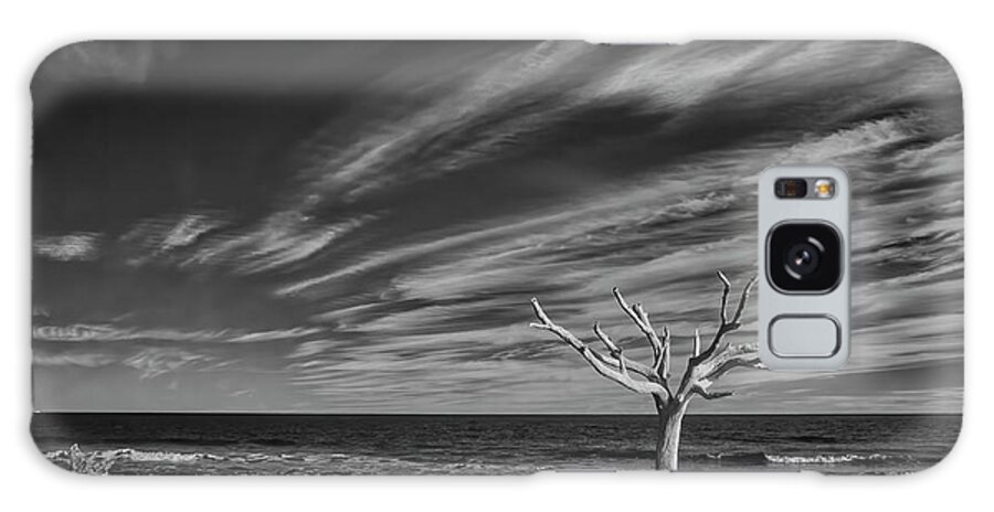 Boneyard Beach Galaxy Case featuring the photograph The Enduring Tree by Jurgen Lorenzen