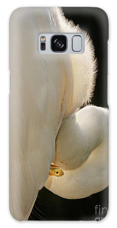 Alligator Farm Rookery Galaxy Case featuring the photograph The Eye by Maresa Pryor-Luzier