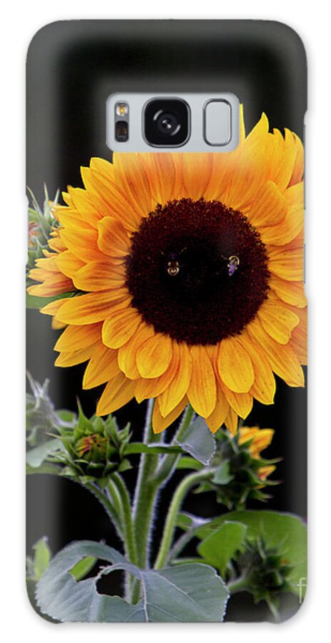 Eyes Galaxy Case featuring the photograph The Eyes of a Sunflower by Butch Lombardi
