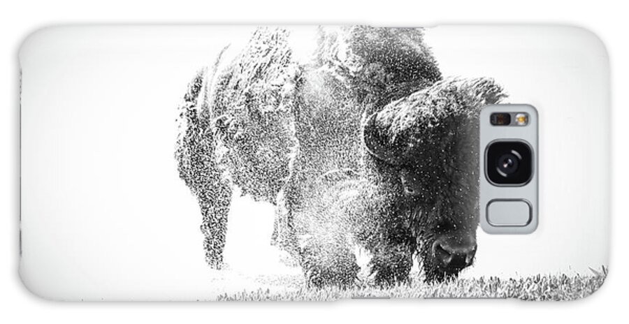 The Final Bison Galaxy Case featuring the photograph The Final Bison by Dan Sproul
