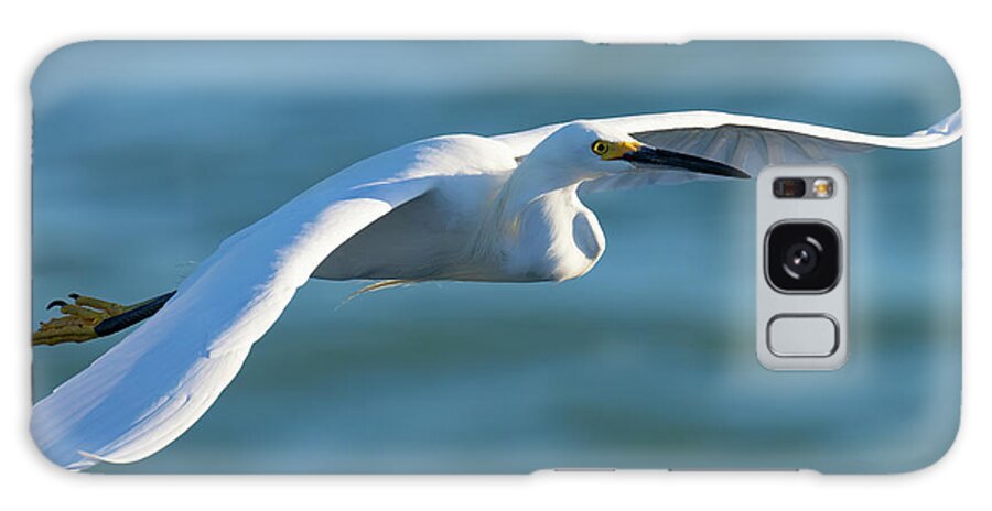 Snowy Egret Galaxy Case featuring the photograph The Glideslope by RD Allen