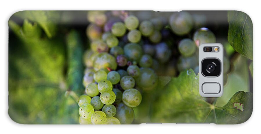 Grapes Galaxy Case featuring the photograph The Grapes of Wine by Erin Marie Davis