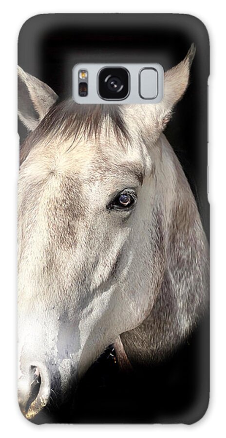 Grey Race Horse Galaxy Case featuring the photograph The Grey by S J Bryant