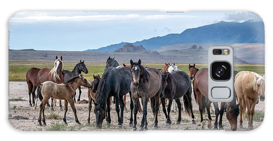 Horse Galaxy Case featuring the photograph The Herd by Jeanette Mahoney