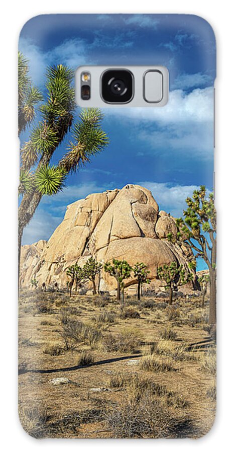 Desert Plants Galaxy Case featuring the photograph The Intersection of Rock and Joshua Tree by Peter Tellone