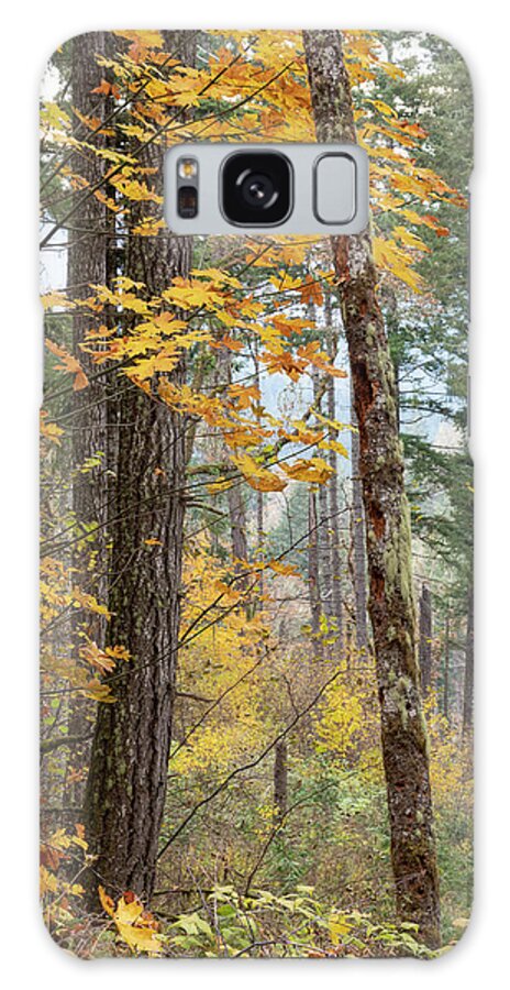 Fall Galaxy Case featuring the photograph The Last of Fall by Catherine Avilez