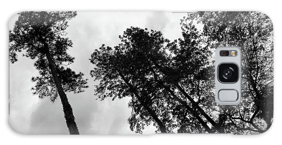 Tree Galaxy Case featuring the photograph The Leader and His Henchmen Stare BW by Lee Darnell