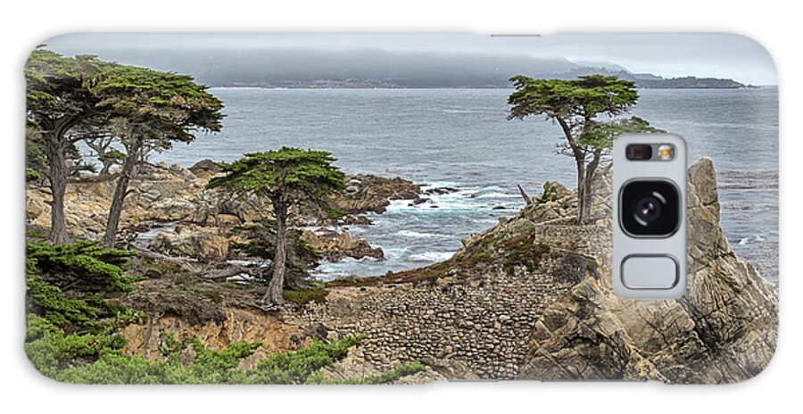 The Lone Cypress Galaxy Case featuring the photograph The Lone Cypress by Gary Geddes