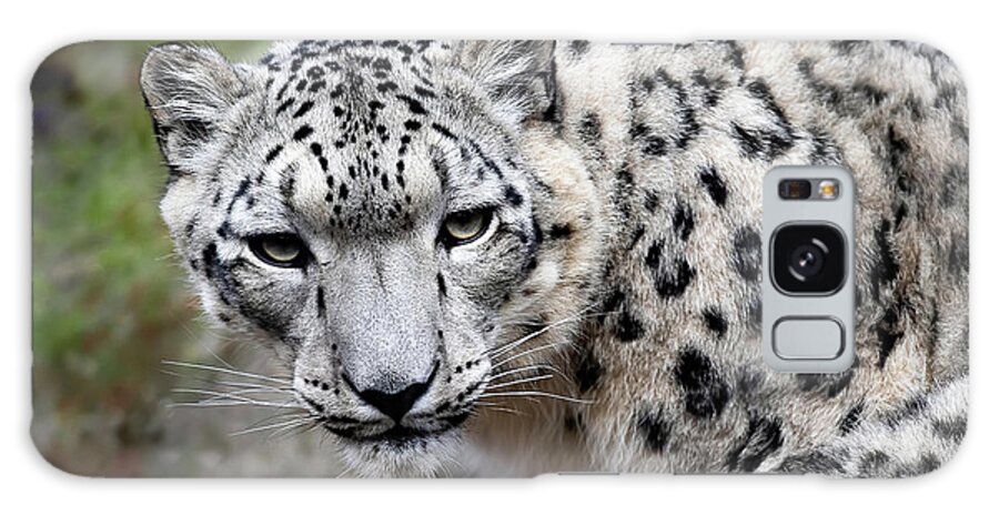 Zoo Galaxy Case featuring the photograph The Look - Snow Leopard by Gary Geddes